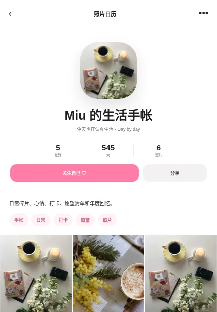 照片日历 模板预览