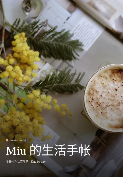 小岛计划 模板预览