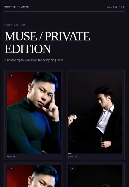 Noir Boyfriend 模板预览