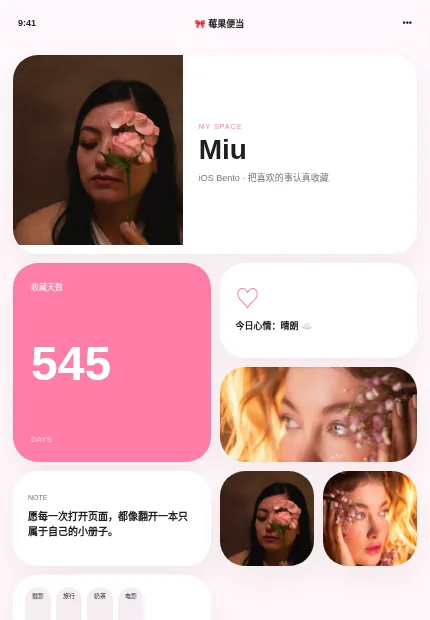 莓果便当 模板预览